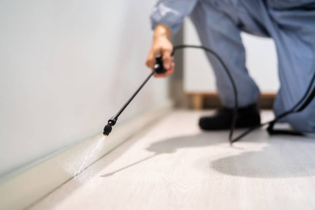 Licensed Pest Control service in Rowland, NC - Show Me Pest Control