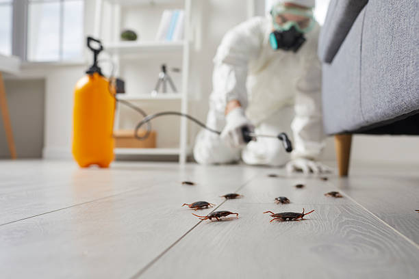 Commercial Kitchen Cockroach Control in Rowland